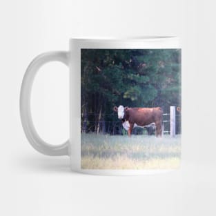 White Face Brown Cattle Mug